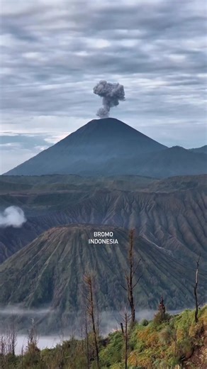 When you arrive at the peak of Mount Bromo, something stirs within you. The world below fades into silence, leaving only the soft whisper of the wind that carries a peace too vast to name 🌄 Clouds drift like tender waves, wrapping the mountain in their quiet embrace. The air is cool and pure, brushing gently against your skin. Every breath feels like a prayer, every glance is a gentle reminder of how small we stand before nature’s greatness, and yet how endlessly it welcomes us 💖 On this sacre