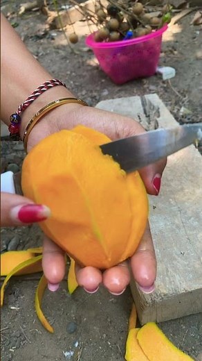 Mango Fruit #mango