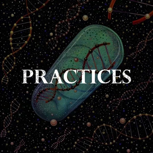 Reprogramming the Subconscious How the Brain Changes Automatic Behavior#subconsciousmind #psychology