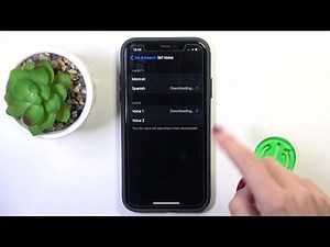 How to Change Siri Language on iPhone 13 Pro Max – Adjust Siri...