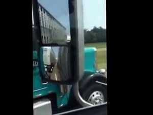 cow truck rodeo