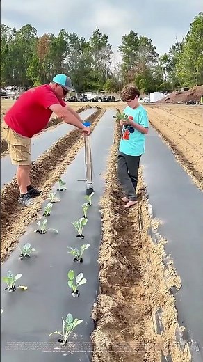 Planting with Precision: How a Stainless Steel Tool Revolutionizes Farming