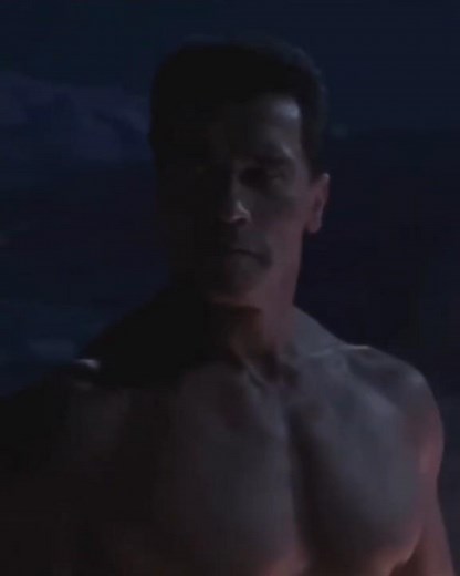 Terminator 3 - Rise of the Machines (2003) Arnold Schwarzenegger