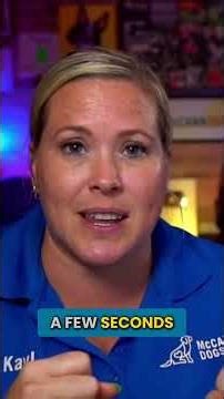 Does Your Dog Refuse To Drop Toys?