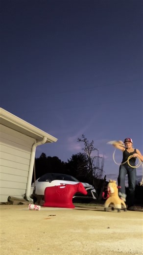 Roping Techniques with Toy Horses for Fun