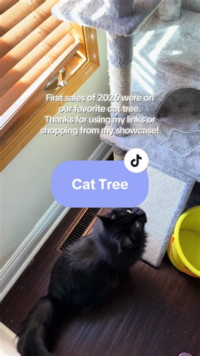 Explore the Best Cat Tree for Your Feline Friend