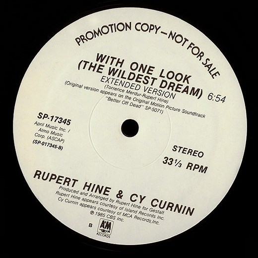 Rupert Hine & Cy Curnin - With One Look (The Wildest Dream)