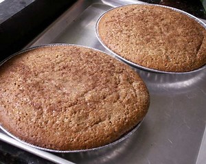 Amish Friendship Bread Recipe - Chef's Resource Recipes