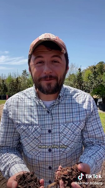 Container grown blueberries #containergrowing #containergarden #blueberries #gardentips #gardentipsandtricks #gardeninghack