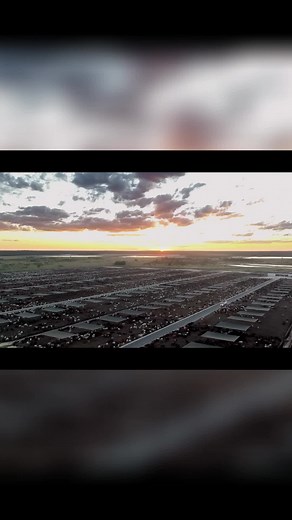 Mort and Co: Pioneers of the Australian Beef Industry