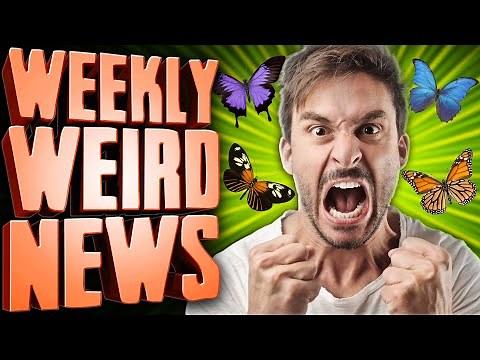 Conspiracy Idiots vs Butterflies - Weekly Weird News