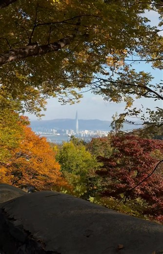 韓國🇰🇷首爾 | David Li