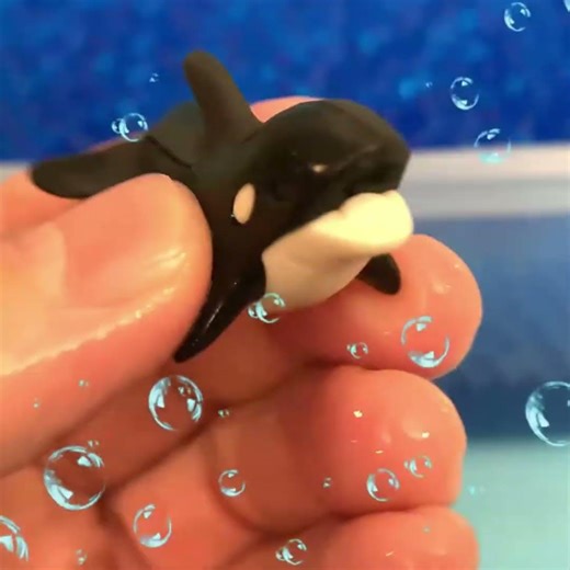 Starfish & Orca Dive into Water Beads – Dolphin Next!