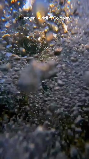 Heaven Avicii ft Coldplay #heaven #avicii #coldplay #music #musica #lyrics #fyp