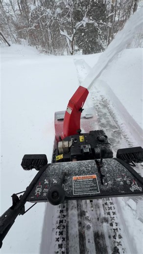 Snow Removal Techniques for Effective Blizzards
