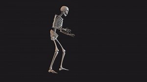3d Animated Skeleton Character Collapsing Falling Stock Footage Video (100% Royalty-free) 3431329989 | Shutterstock
