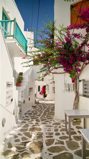 You can dock in postcard-perfect ports and immerse yourself in the rhythms of Greece—wandering sunlit alleys, savoring fresh seafood by the sea, and embracing a stillness that feels almost surreal. With Silversea, moments like these aren’t imagined—they’re experienced. | Teanie Rose World Travel