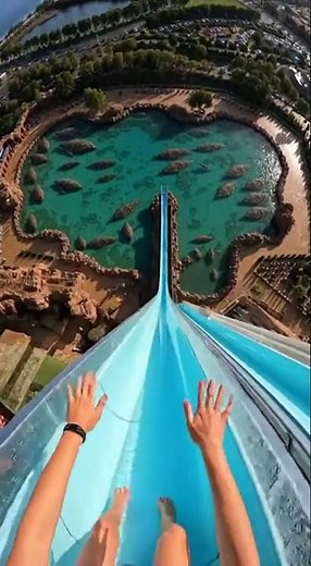 Slide down into the pool teeming with giant sea creatures #funny #memes