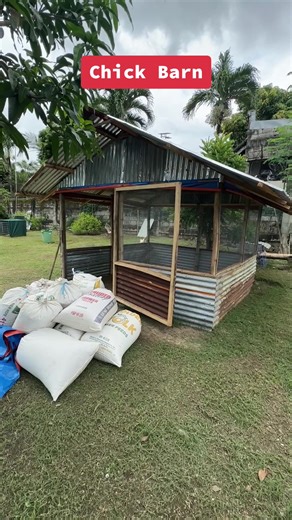 Chick Barn Layout and Design | Pascual Gallo's Wozzwoods Chicken Coop