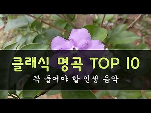 클래식 명곡 TOP 10 🎻 꼭 들어야 할 인생 음악