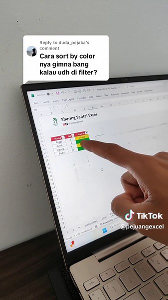 Cara Sortir Data di Excel Berdasarkan Warna