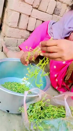 Significant Events on February 15th