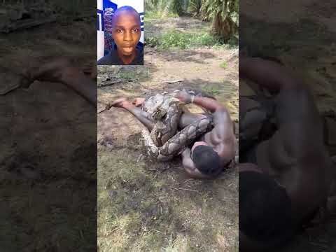 This guy wrestle with a python snake: the end shock me 
