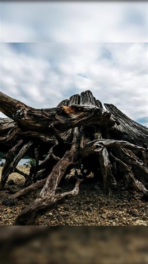 Join the Berlin Techno Surge  Stream Today | DJ Abyss | Facebook