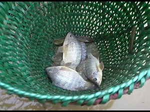 pond and finds abandoned car after 20 years Car rescue and restoration | Rasidul