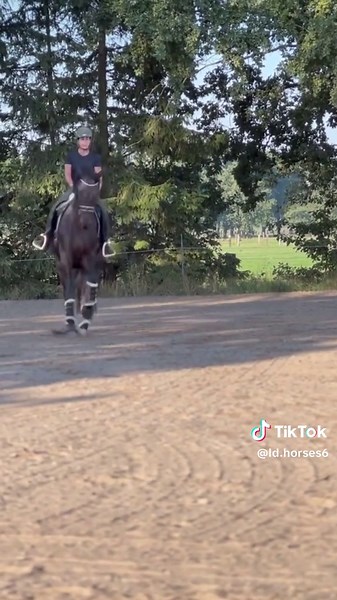 Bei Interesse an einem Berittplatz oder zum Anreiten ihrer Pferde gerne melden wir haben aktuell noch Plätze auf unserem Hof frei! #pferdewelt #berittpferde #jungpferde #pferdeausbildung #reitsport