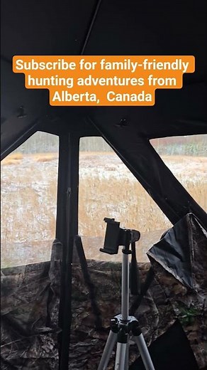❄️ First Snowfall in the Deer Blind | Alberta, Canada- Whitetail Hunting with my son #shorts