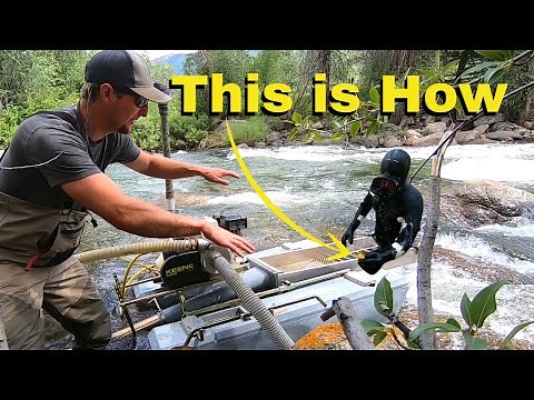 WE FIND GOLD! Bring in the BIG GUNS! Colorado Gold Dredging