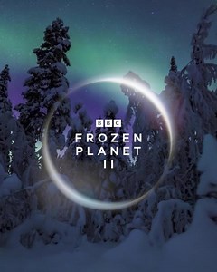 30 reactions | تتبع الحياة في الربع المتجمد بأكمله من الكوكب بما في...