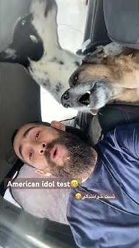 Two dogs singing خوانندگي دوتا سگ.