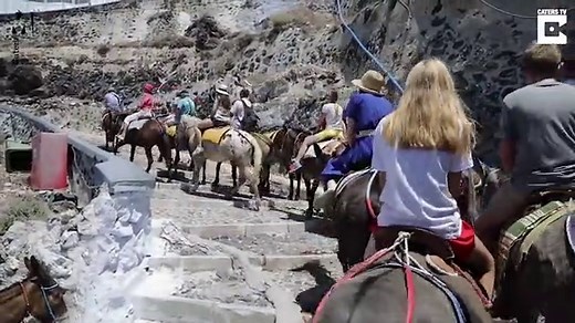 Santorini donkeys left crippled by holidaymakers