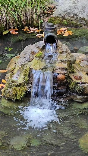 9 comments | The picturesque spring water and waterfalls in Harbor Springs, Michigan, are truly breathtaking! #exploring #Purenature #nature #waterfalls #springwater #Michigan #exploringmichigan #trendingnow #highlights #fblifestyle #traveling #FacebookPage | Alynn in Michigan Channel | Facebook