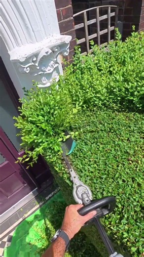 Clean finishes. Professional results with the EGO PRO X Single-Sided Hedge Trimmer