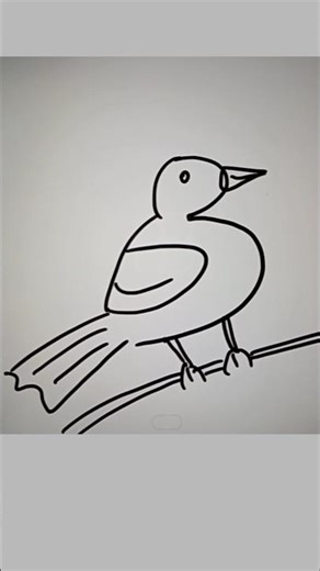 disegnare un uccello