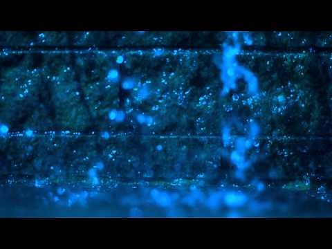 Splashing - HD Stock Footage Background Loop