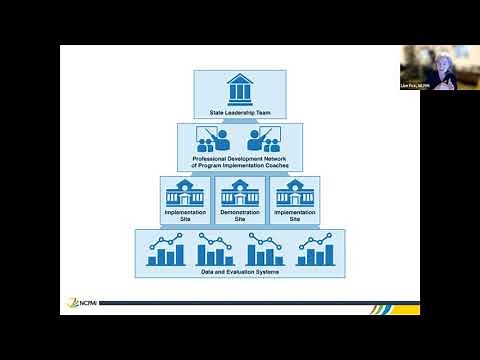 Analyzing Program-wide Pyramid Model Implementation: Introduction to the Benchmarks of Quality