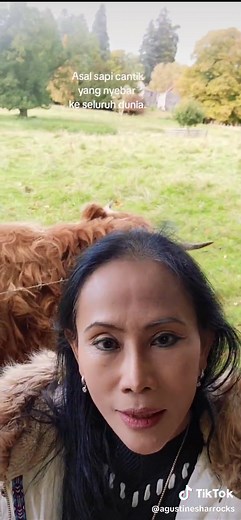 Liat aslinya dinegata asalnya...gemeees..travelling yoook..biar ga cupeet... #highlandcows #scotland #highlandcattle #blaircastle #roamingaround #visitscotland #travellingscotland #scotlandtiktok #me