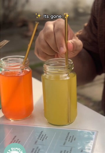 Holy Dumpling! on TikTok