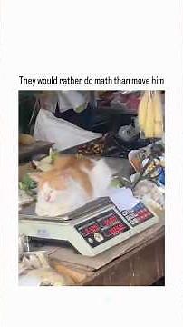 They would rather do math than move him