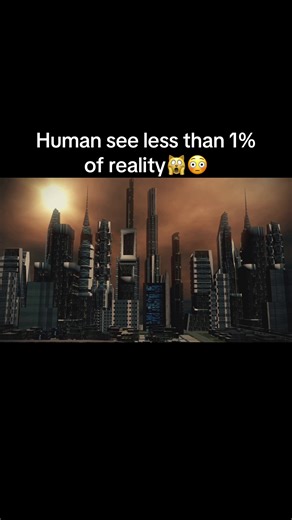 Humans see less than 1% of reality. So what’s hiding in the rest? 👁️ This story explores perception, evolution, and why our minds are limited by design. Stay curious.