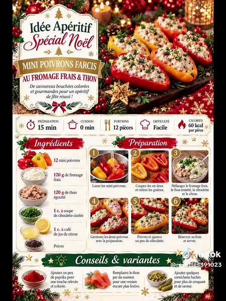 140 idées apéritif spécial Noël : recettes faciles et rapides