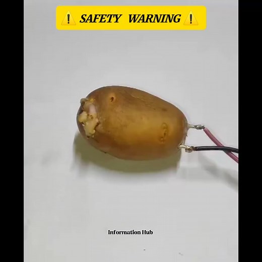 I tried the famous potato battery experiment...but I plugged it into the WALL. 💥 This is why you should always follow the instructions! The results were shocking (and smoky!). #ExperimentGoneWrong #Fail #PotatoFail #science | Information Hub