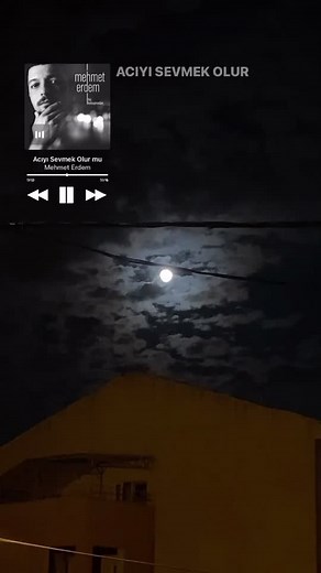 Moonlit Night Scenes with Text Overlays