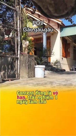 A Day as a Dog #funny #hai #haihuoc #giodonglao @gio_dong_lao #gio_dong_lao
