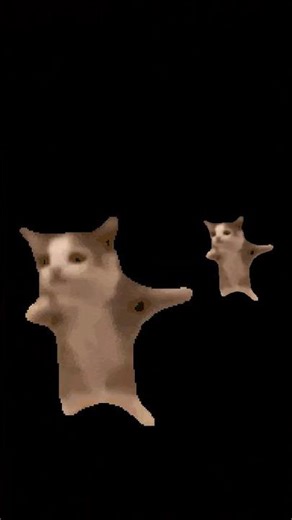 Desert Cat song and Hapi Hapi song🤣#shorts#funnycat