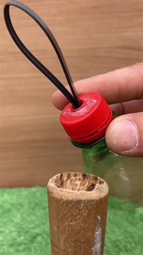 Tool Titans on TikTok